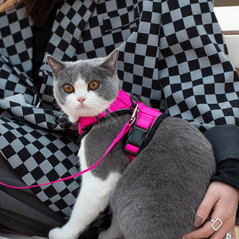 🐱 PurrTrek Reflective Cat Harness & Leash 🌈