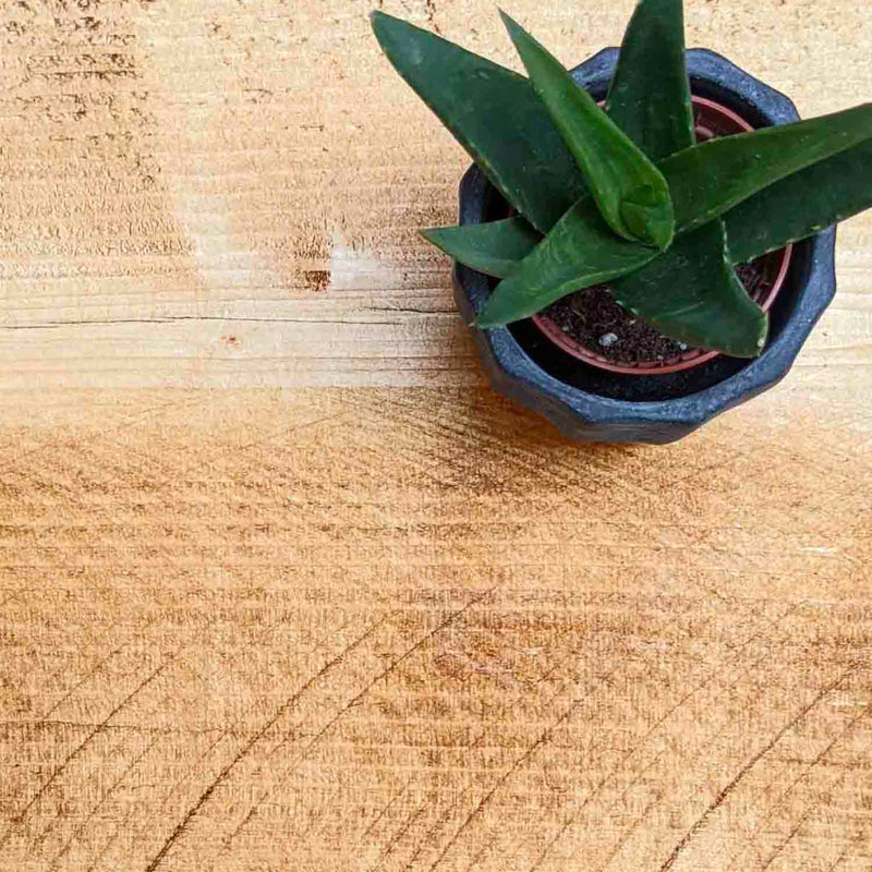 Reclaimed Floating Shelf | 22cm Depth
