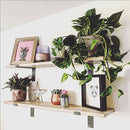 Shabby Chic Thin Lipped Bracket Shelf | 15cm Depth