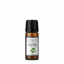 Tea Tree Organic Essential Oil