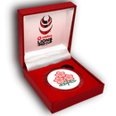 Lions vs Japan Official Match Coin '21