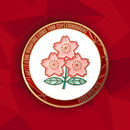 Lions vs Japan Official Match Coin '21