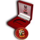 Lions vs Japan Official Match Coin '21