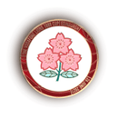 Lions vs Japan Official Match Coin '21