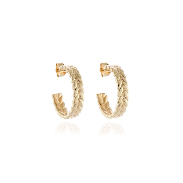 Cachet Oletta 2cm Hoop Earrings - Gold