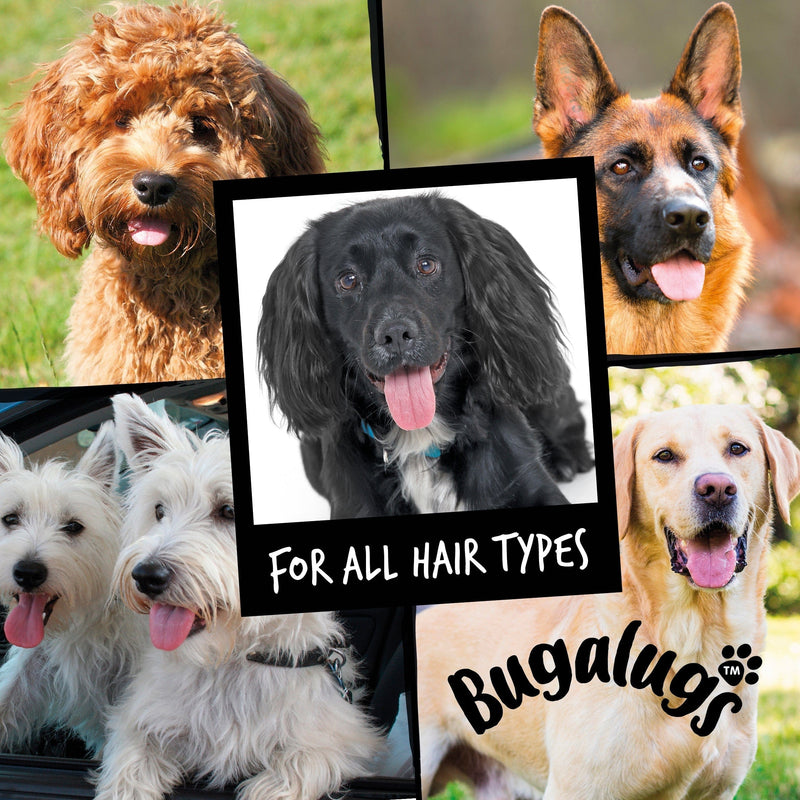 Bugalugs 4 in 1 Shampoo - Bottled Baking Co