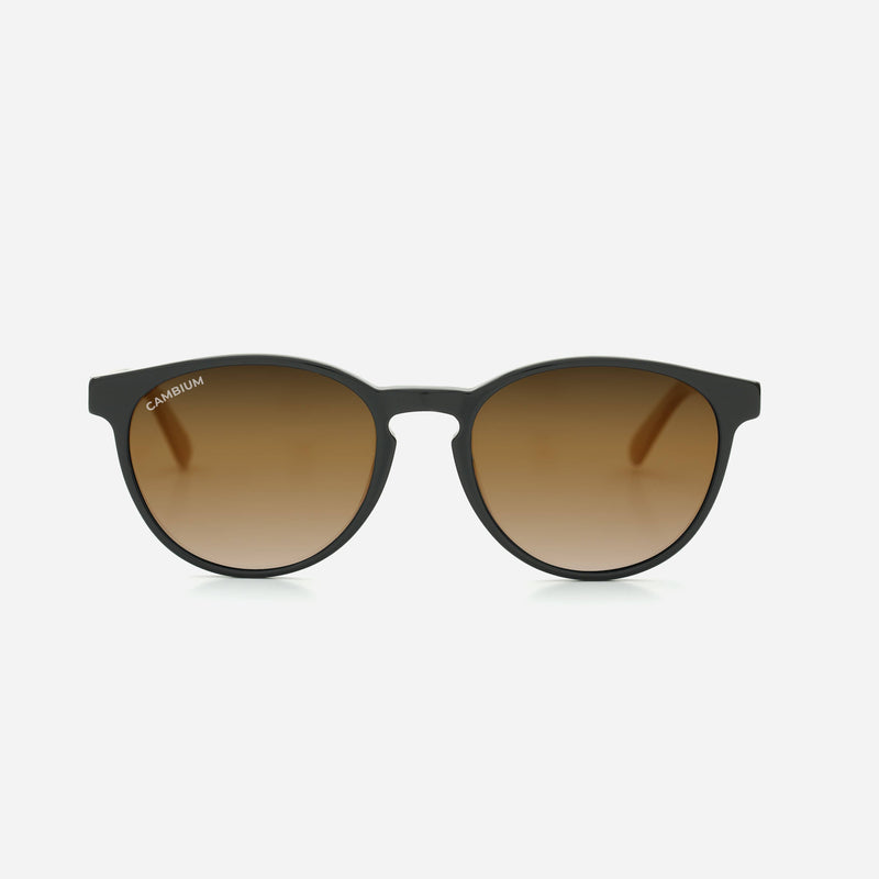 Cambium Maui Sunglasses - Recycled Plastic And Wood Frame Gradient Brown