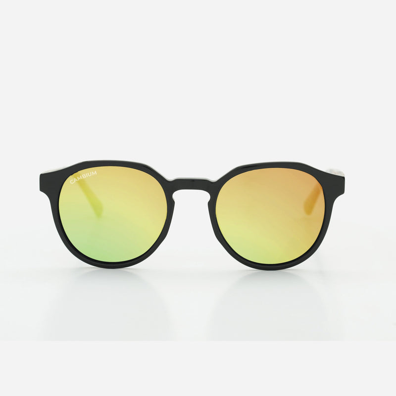 Cambium Kawela Sunglasses - Recycled Plastic & Wood Frame Gold Chrome