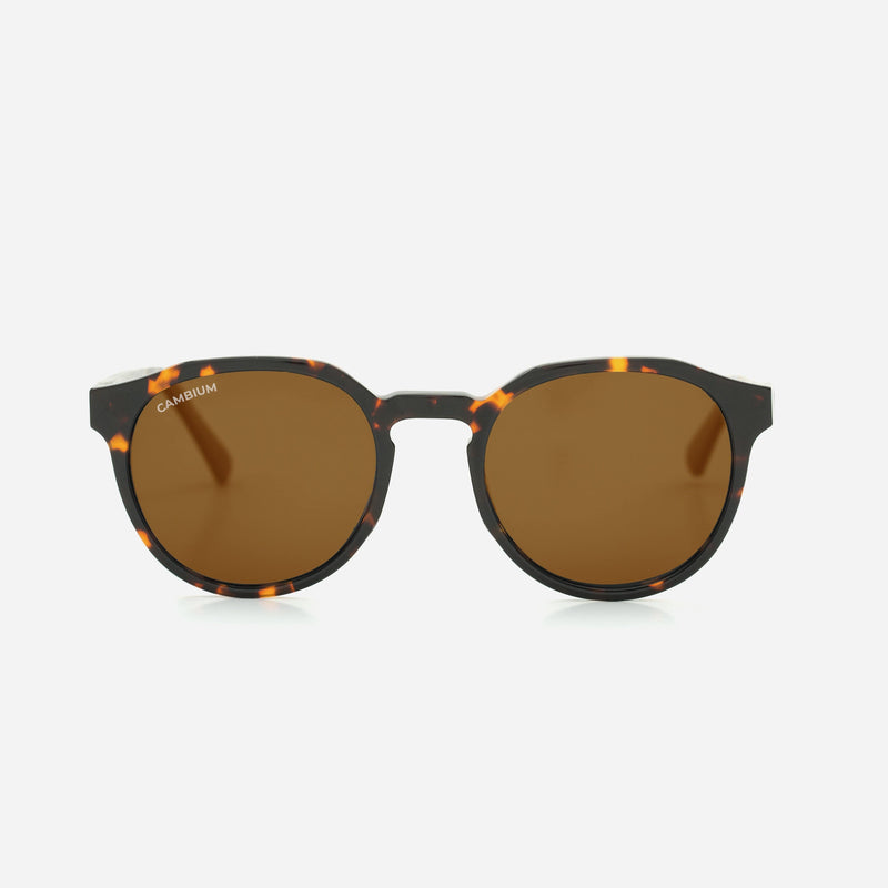 Cambium Kawela Sunglasses - Recycled Plastic & Wood Frame Vintage Brown
