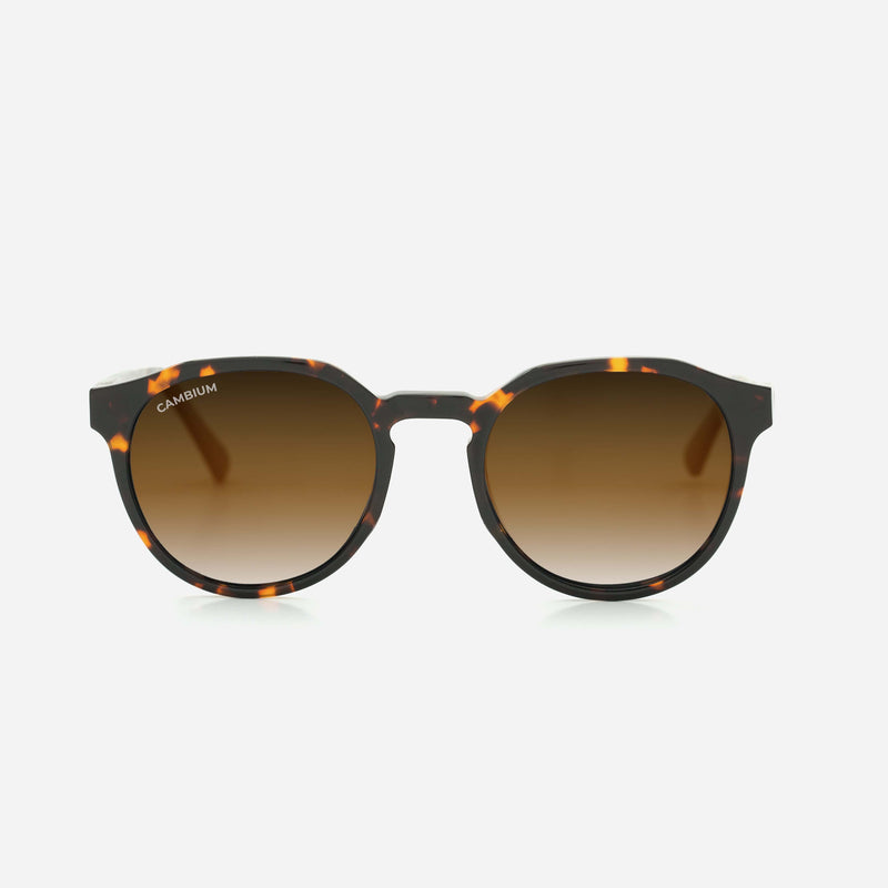 Cambium Kawela Sunglasses - Recycled Plastic & Wood Frame Gradient Brown