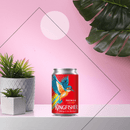 Kingfisher Can, beers from around the world