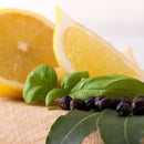 Gourmet Lemon, Basil, Bay & Juniper Vinegar