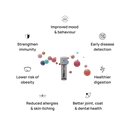 GutDiscovery® Test Kit & Gut Health Report