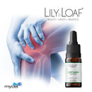 Lily and Loaf - Curcumin (10ml) - Liquid