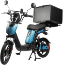 SX-250d Series III Electric Bike