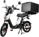 SX-250d Series III Electric Bike
