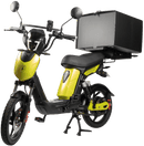 SX-250d Series III Electric Bike
