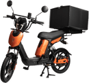 SX-250d Series III Electric Bike