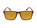 Gold poalrized sunglasses Coral Eyewear